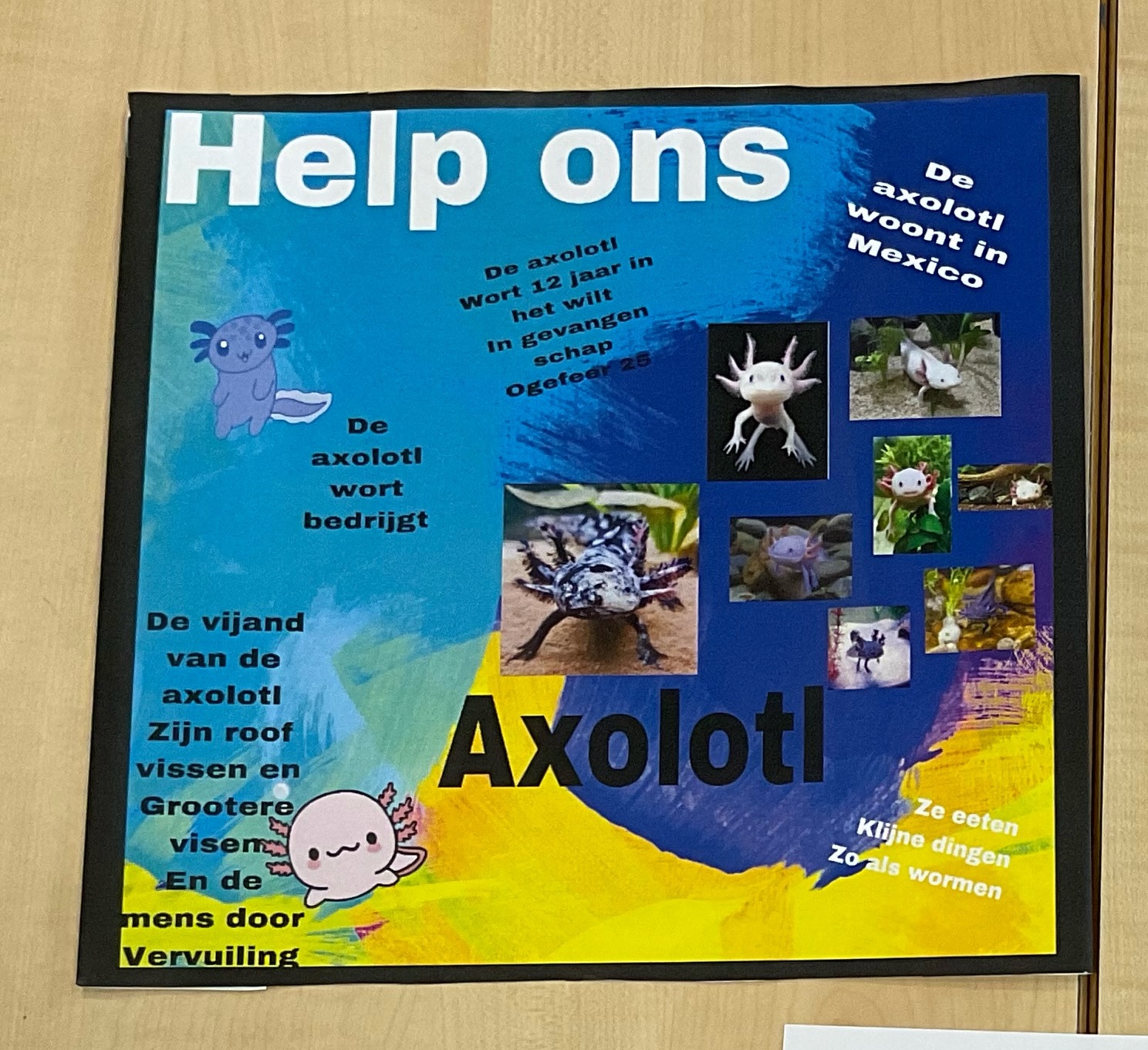 Poster van de axolotl